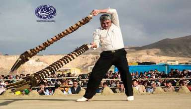 بیل-گردانی--نیمور-تهران-شناسی-tehranshenasi