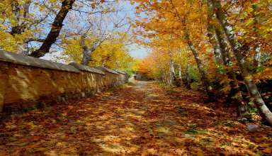 مصوبه باغ -برج(تهران شناسی