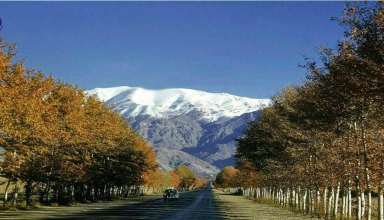 خیابان ولیعصر -تهران شناسی