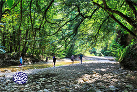 مسیر-پلنگ-دره_سواد-کوه