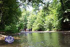 پلنگدره_لفور