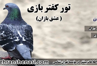 تور کبوتر بازی-تهران شناسی