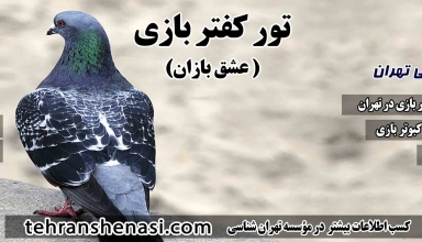 تور کبوتر بازی-تهران شناسی