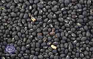 قره ماش-دانه مورد علاقه کبوتران