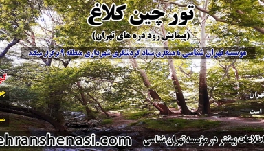 تور چین کلاغ-تهرانشناسی