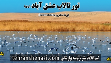 تالاب-عشق-آباد-تهران-شناسی