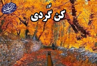 تور کن موسسه تهران شناسی